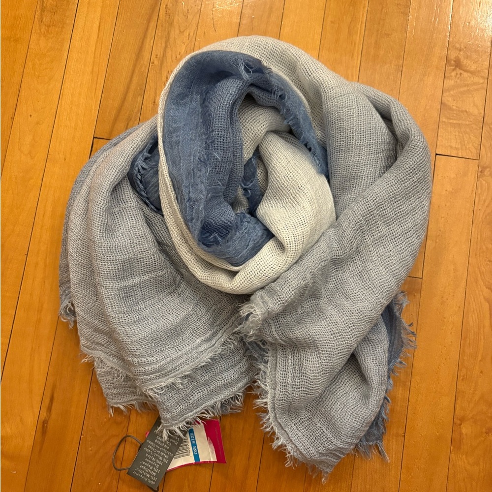 Ombré sheer & sparkly fringe scarf NWT